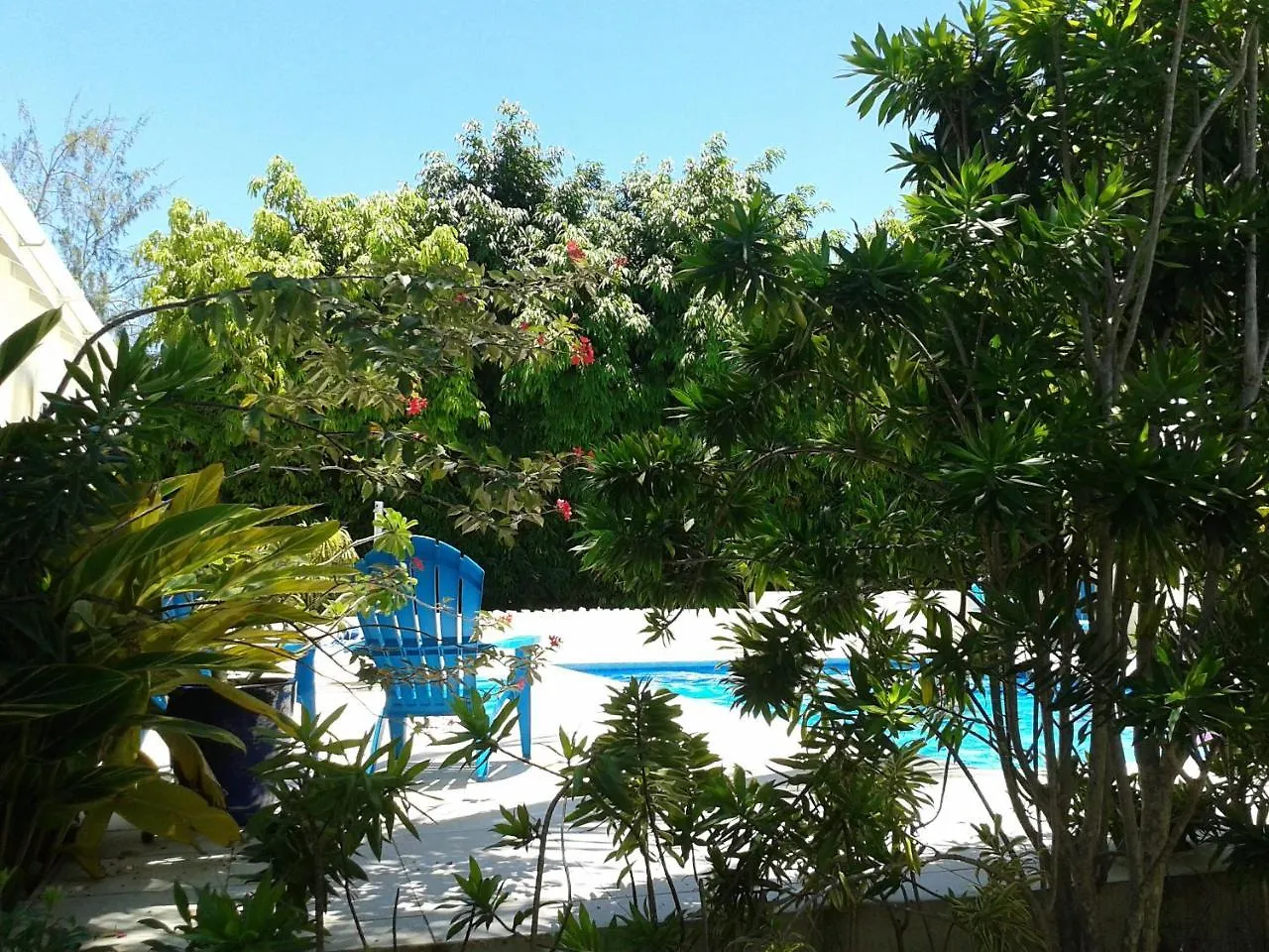 Gibbs Glade Cottage & Garden Studios Gibbes Barbados