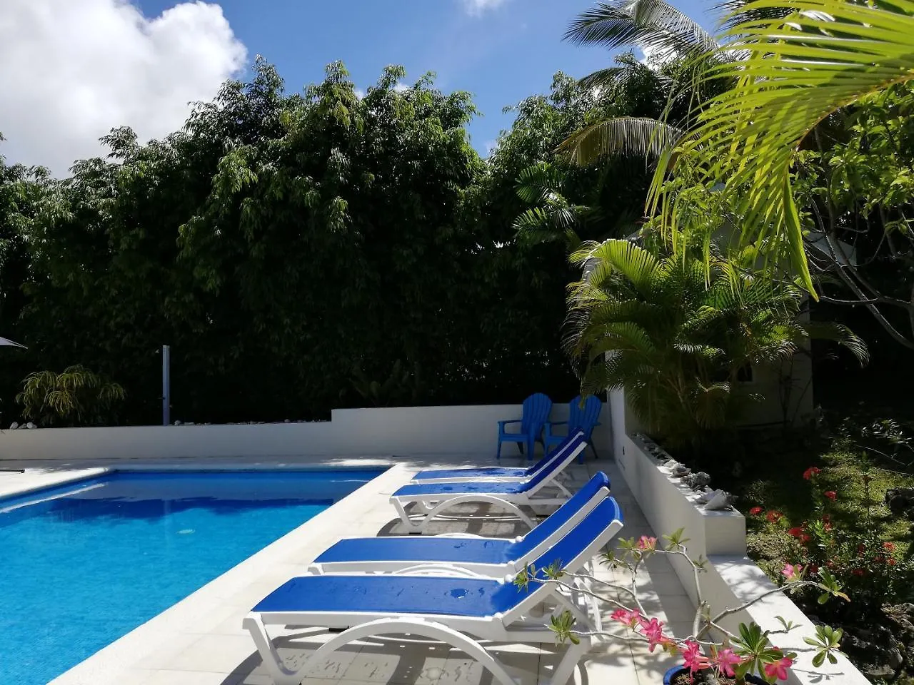 *** Guest house Gibbs Glade Cottage & Garden Studios Gibbes Barbados